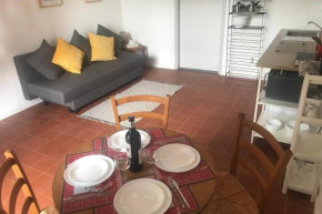 Apartment des Orangers
